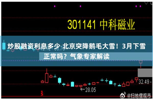 炒股融资利息多少 北京突降鹅毛大雪！3月下雪正常吗？气象专家解读