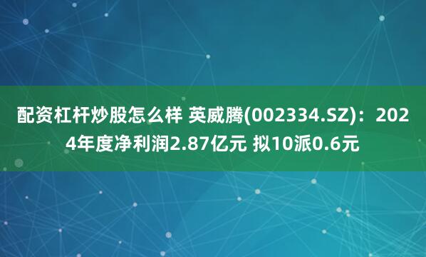 配资杠杆炒股怎么样 英威腾(002334.SZ)：2024年度净利润2.87亿元 拟10派0.6元