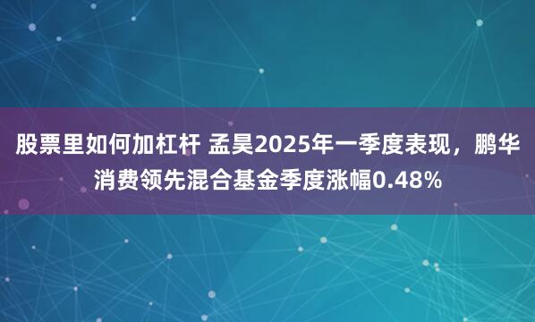股票里如何加杠杆 孟昊2025年一季度表现，鹏华消费领先混合基金季度涨幅0.48%