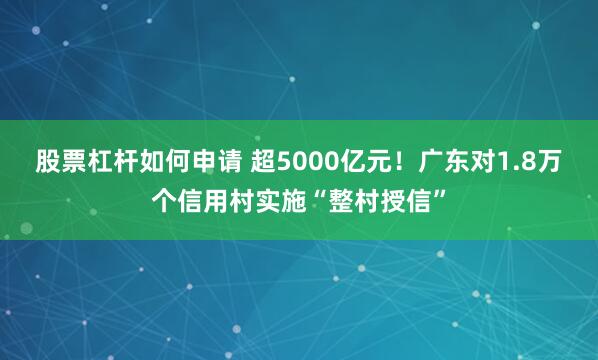 股票杠杆如何申请 超5000亿元！广东对1.8万个信用村实施“整村授信”