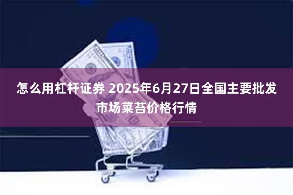 怎么用杠杆证券 2025年6月27日全国主要批发市场菜苔价格行情