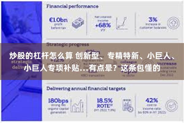 炒股的杠杆怎么算 创新型、专精特新、小巨人、小巨人专项补贴…有点晕？这条包懂的